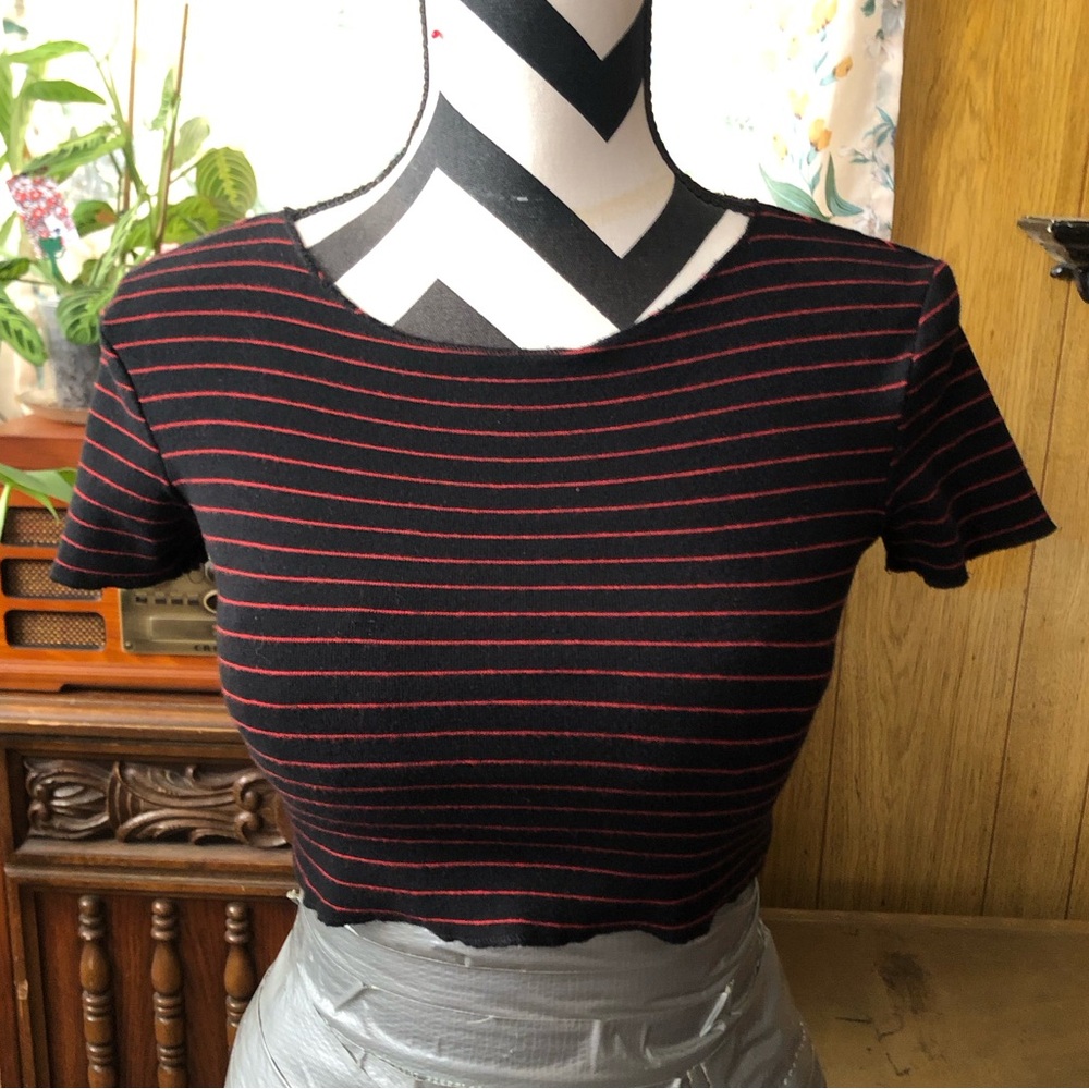 Zara Crop Top